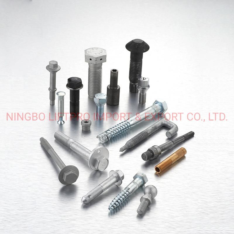 China Factory OEM ODM Special Fastener Bolt Stainless Steel Brass Aluminium
