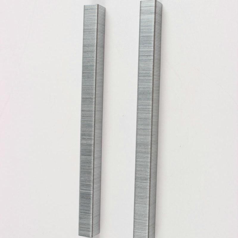 Manufacture 7112 Galvanize Staples for Wood and Safa