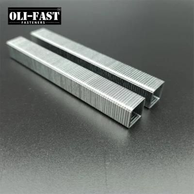 20ga 50/08 Series Industrial Staples China Factory Supply