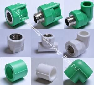Male and Female PPR Pipe Fittings/Coupling/Elbow/Tee/Union