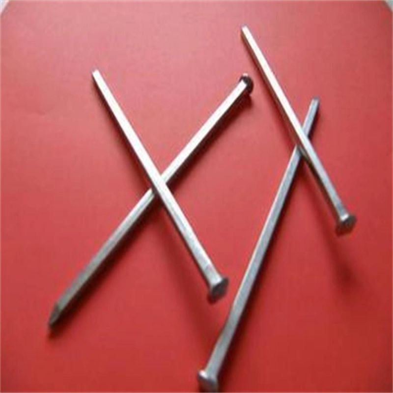 Electro Galvanizing or Polishing Square Bolt Nails