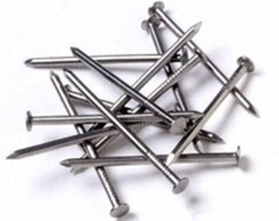 Factory Price Common Nail/ Iron Nail Customized Various Sizes of Steel Nails Nails