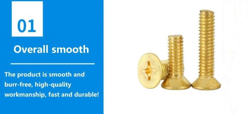 Brass Fasteners Machine Screw/Self Tapping Screw/Brass Hex Bolt and Nut/Hex Nuts/Brass Cap Nut/Flat Washer/Hex Bolt and Nut/Brass Wood Screw/Set Screw