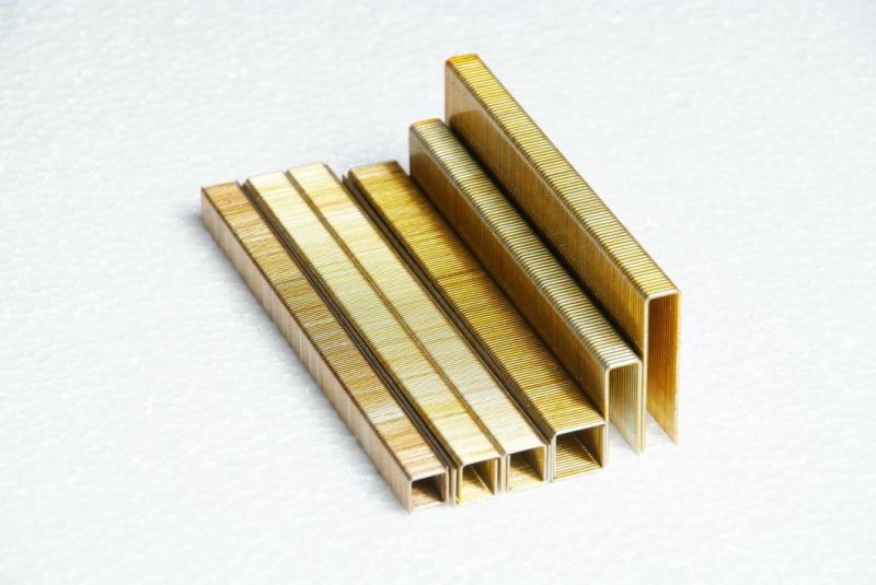 18 Gauge 9040 Industrial Staples for Wood and Furniture