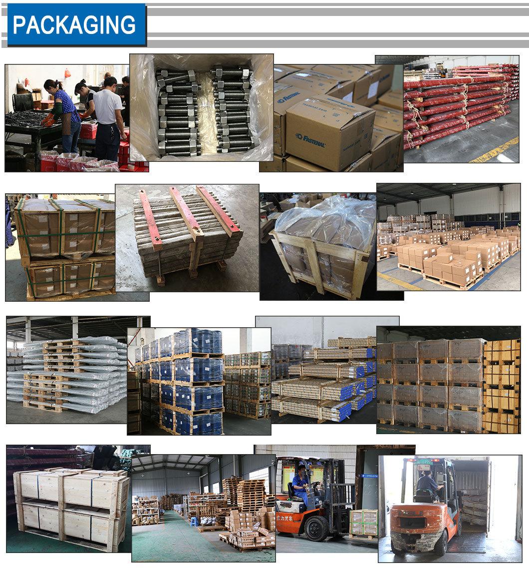 M5 Stainless 304 Long Round of Quality Coupling Nut M10