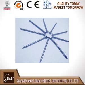 Iron Nail, Common Nail, Wire Nailprofessional Manufacturer