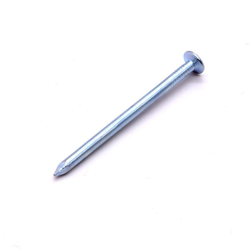 Concrete Nail Electro Steel Galvanized 10cm Nails Import From China