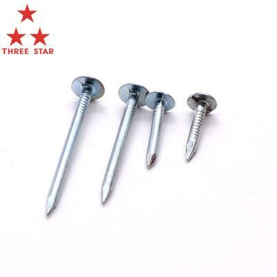 High Quality Eg HDG Large Flat Head Iron Nails Roofing Nails Clout Cupper Nails