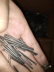 Headless Nail Common Iron Nails for Furniturer and Wood Work