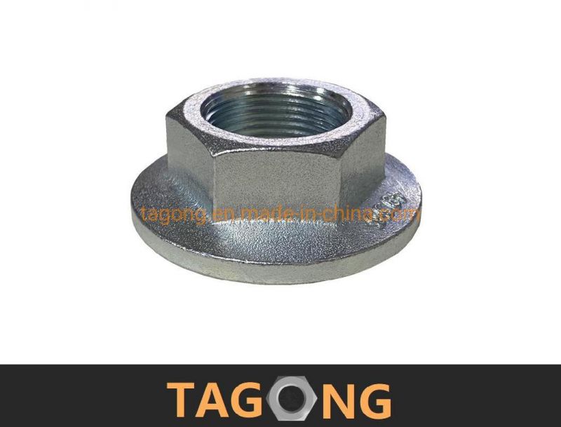 Accept OEM Hex Nuts Ifi1986 Large Flange Nuts