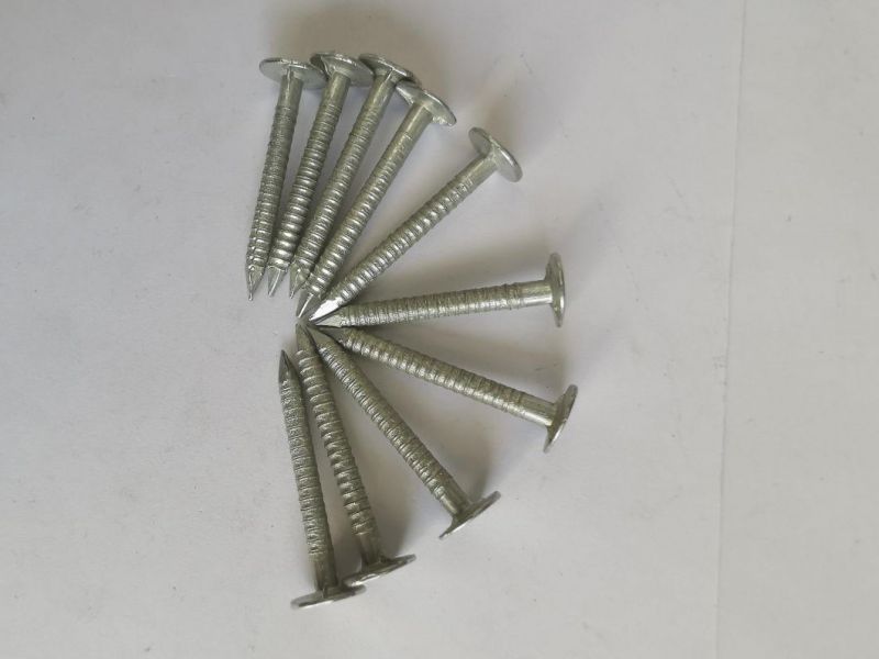 Ring Shank Steel Wire Common Nails with Factory Price