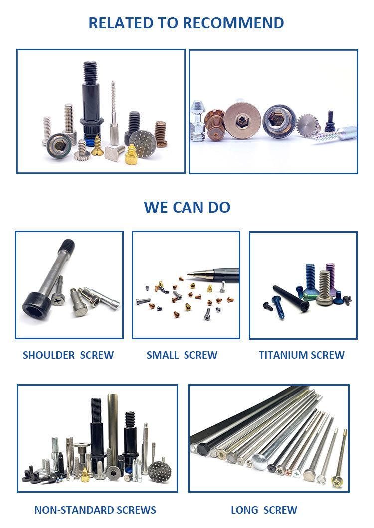 Stainless Steel Thin Low Head Hexagon Socket Allen Machine Screws