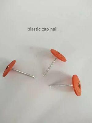 3000 Count Round Plastic Button Cap Ring Shank Nails with 3&quot;