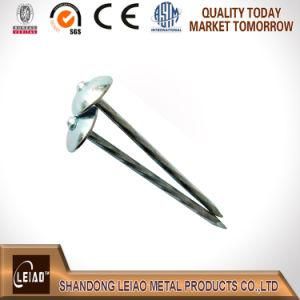 Best Quality Roofing Nail