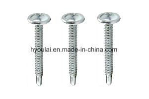 Self Drilling Screw Pan Haed Washer Screw Zinc Plated