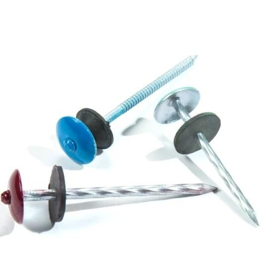 Colored Coated Roofing Nails Umbrella Head with Washer Iron Steel Nails