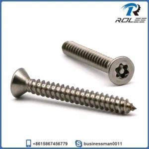 304/316 Stainless Steel Pin-in Torx Tamper Proof Security Screw