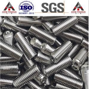 Pure Titanium Screw and Bolt