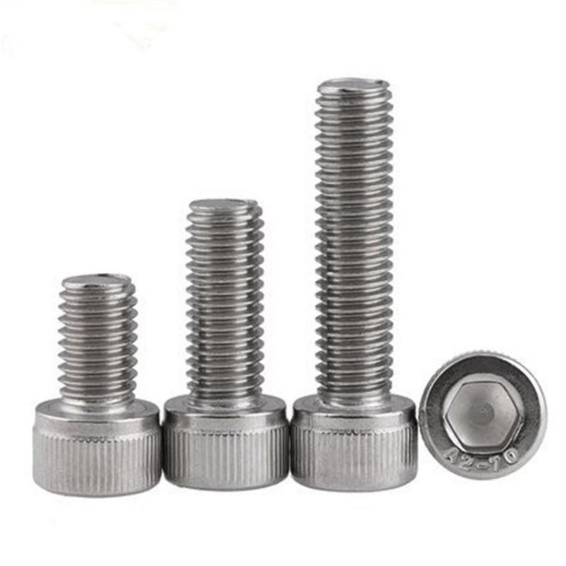 Ss316 M6 Hexagon Socket Cap Screw
