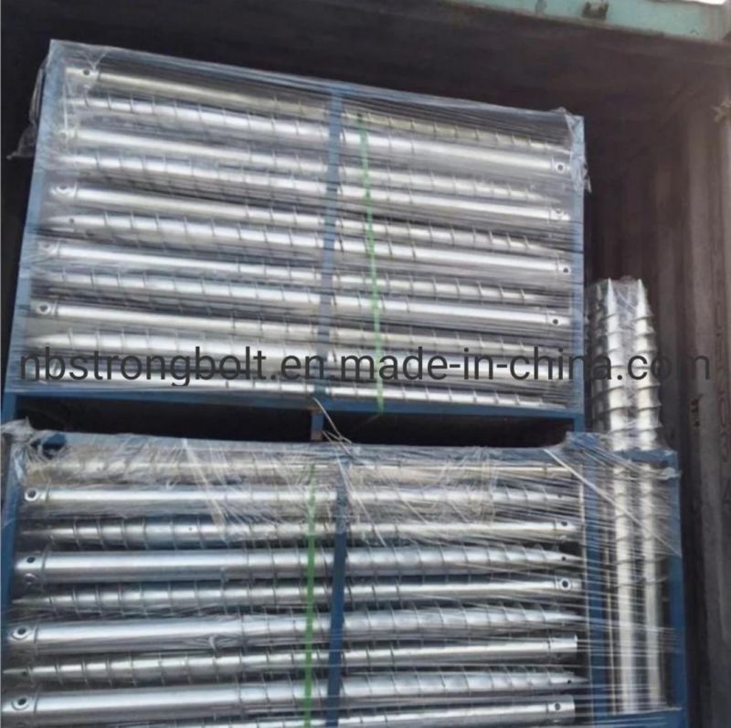 Ground Bolt Foundation Bolt Stone Bolt with Zinc Plated