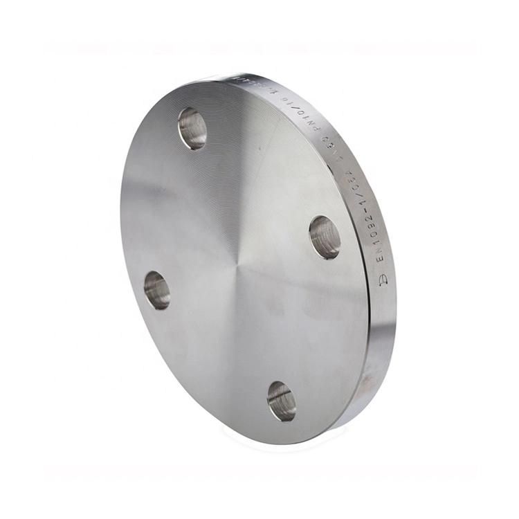 Forged Carbon Steel A105 Flat Face Blind Flange Pn10 DN300