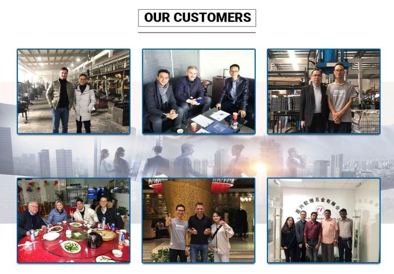 Full Thread and Half Thread Cold Forged A4 Live Eye Bolt/DIN580 Eye Bolt/DIN444 Eye Bolt