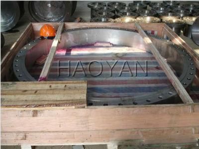Carbon Steel Forging Flange/Alloy Steel Forging Flange/Stainless Steel Forging Flange/Forged Flange