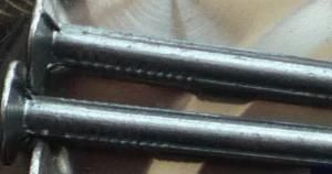Motu High Quality Polished Common Round Iron Wire Nails