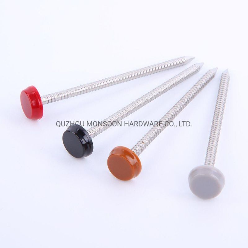 Hot Sale Decorative Stainless Steel China Decorative Nail