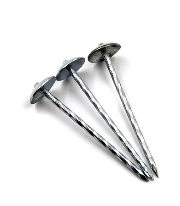 Screw Shank Galvanized Umbrella Roofing Nail