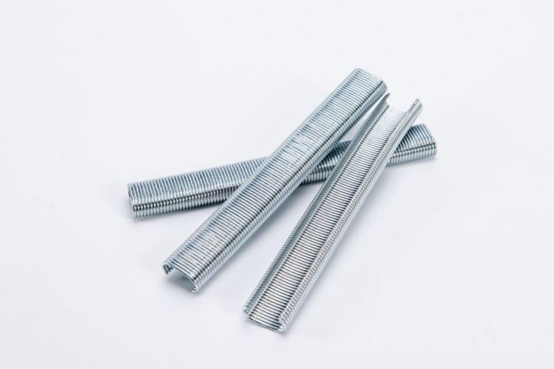 Chinese Factories Stainless Steel Fastener Pneumatic C Hog Rings Staples for Pocket Spring Mattress with Good Quality