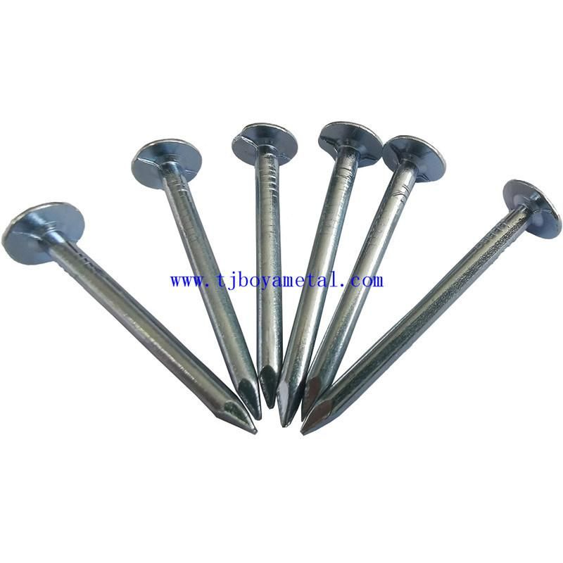 Common Round Nail Iron Wire Nails for Wood Building Construction with Flat Head Metal Clout Nails