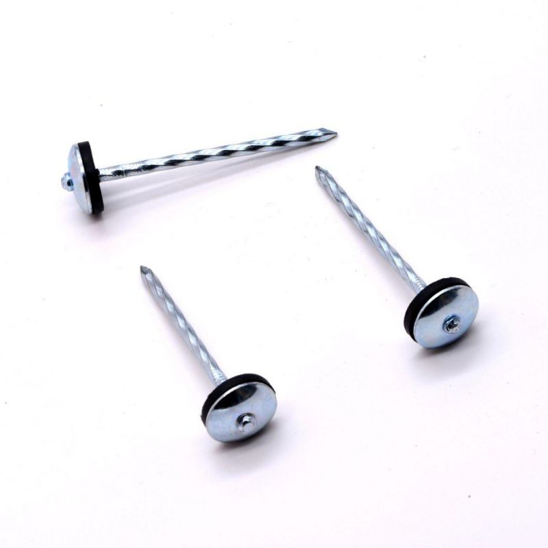 Galvanized Umbrella Head Roofing Nails