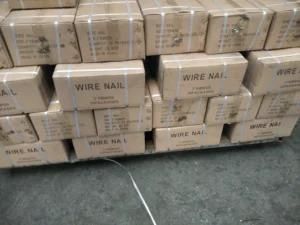 Nails Wire Nail Professional Factory Made in China