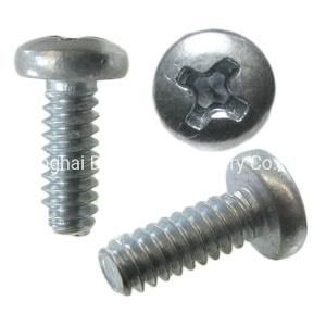 DIN7981/ DIN7982/ DIN7985/ Fastener/ Screw/ Self Tapping Screw/ Machine Screw /Pan Head Countersunk Head /Stainless Steel Screw