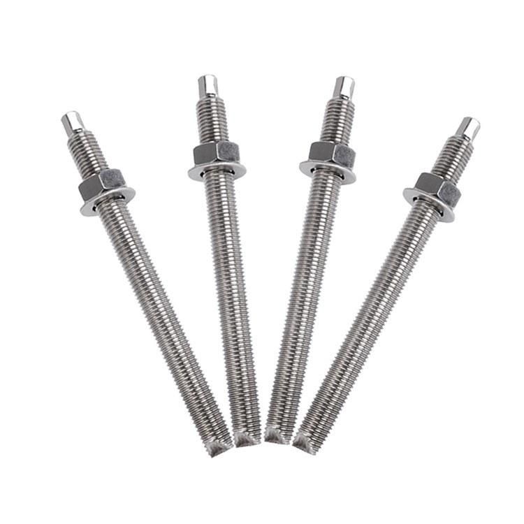 Stainless Steel Chemical Stud Anchor Bolt with Hex Nut and Washer