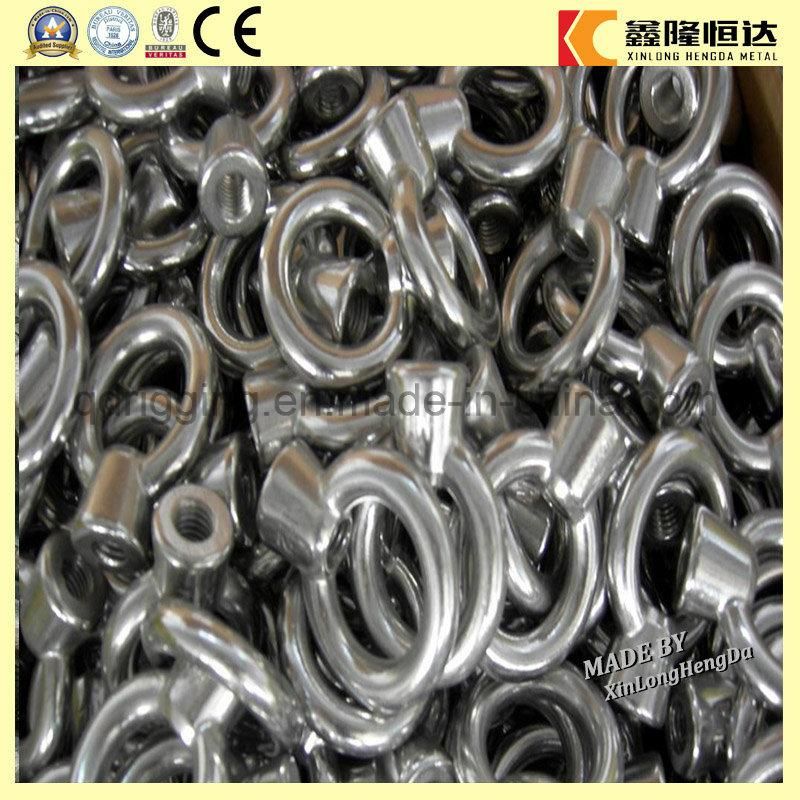 Stainless316 Lifting Eye Nuts with Metric Thread