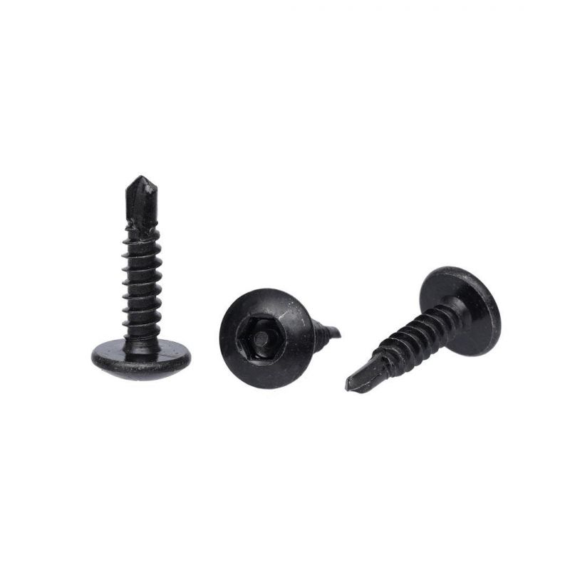 Screw Expert From China