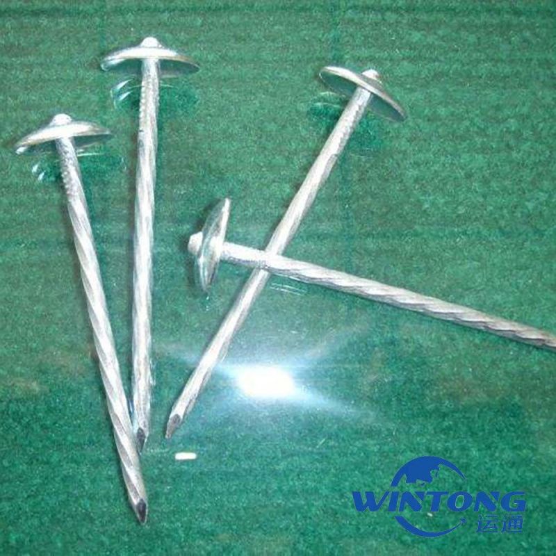High Quality Galvanized Roofing Nails, Twisted Shank Umbrella Head Roofing Nails