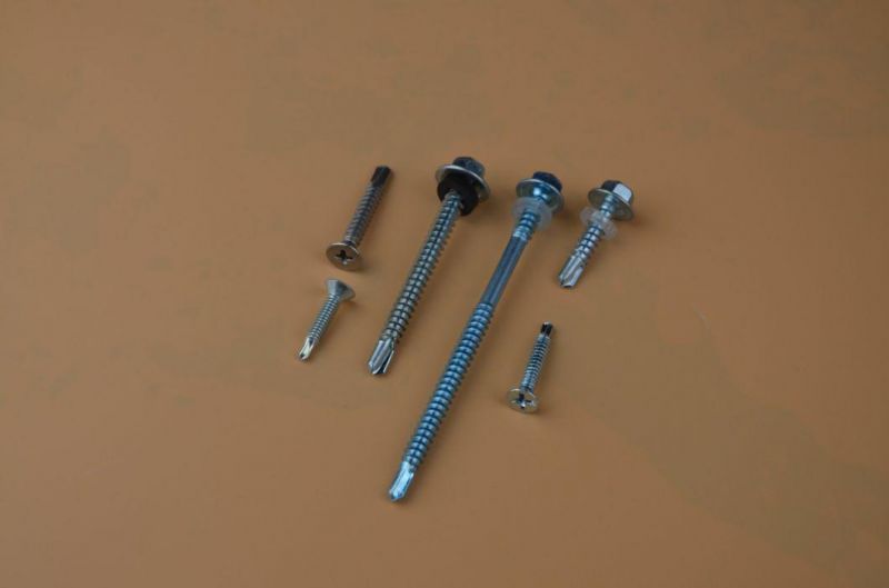 Pan Head, Flat Head, Truss Head, Hexagon Washer Head, Hexagon Flange Head Material Ss410 and SS304 Self-Drilling Screws with Competitive Price
