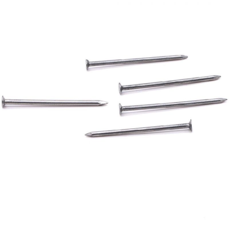 Q195 Common Wire Rod Nails Polished Common Nail