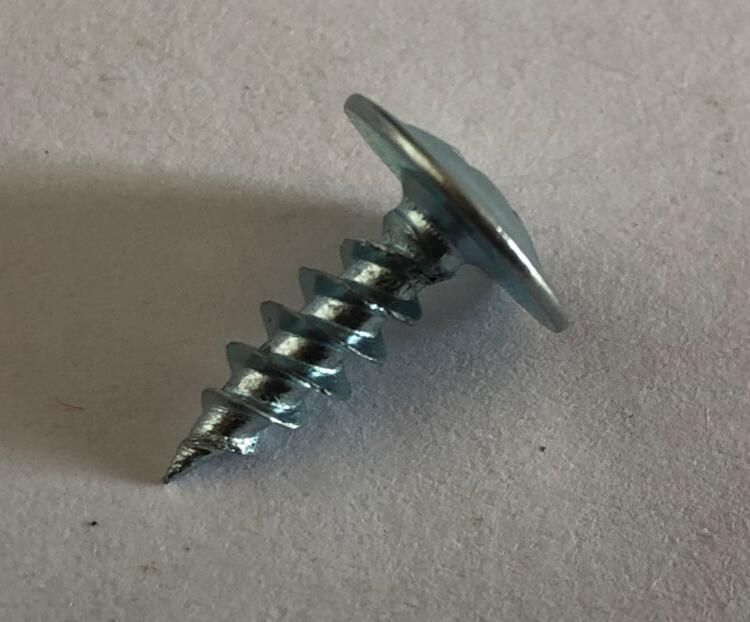 Phillip Recess Truss Head Self Tapping Screw