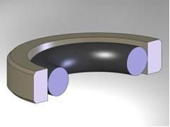 Good Performance Polytetrafluoroethylene Glyd Ring