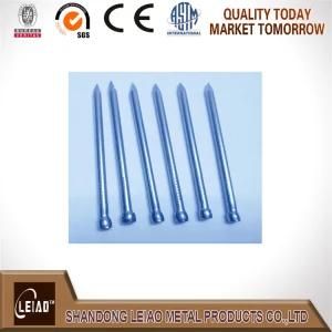 Common Wire Nails Round Head Rion