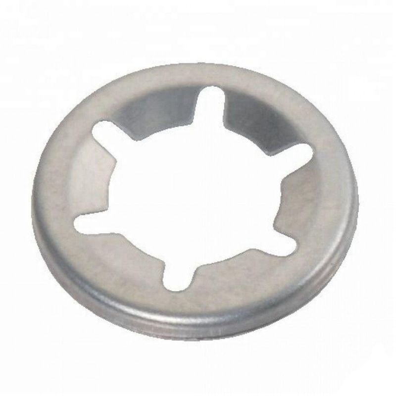 M6 M8 M10 Black Spring Steel/Stainless Steel Star Lock Washers for Shaft