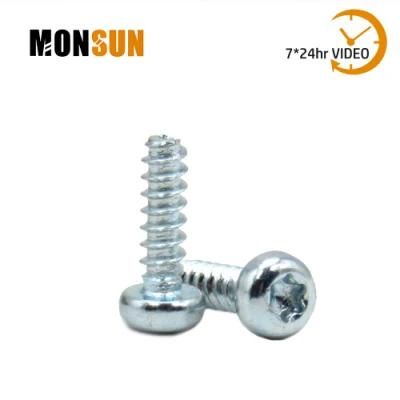 Carbon Steel Zinc Plated Type B Self Tapping Screws/Tornillos