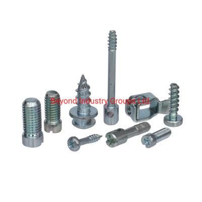 Terminal Cover Screw Factory