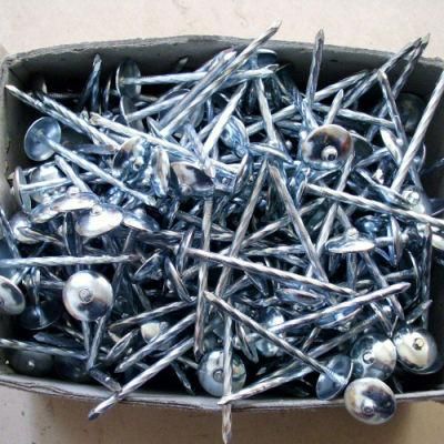 Umbrella Head Roofing Nails/Roofing Nails Galvanized Twisted Shank