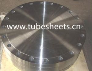 ANSI B16.5 Stainless Steel 1.4308 Ss316 Blind Forged Flanges