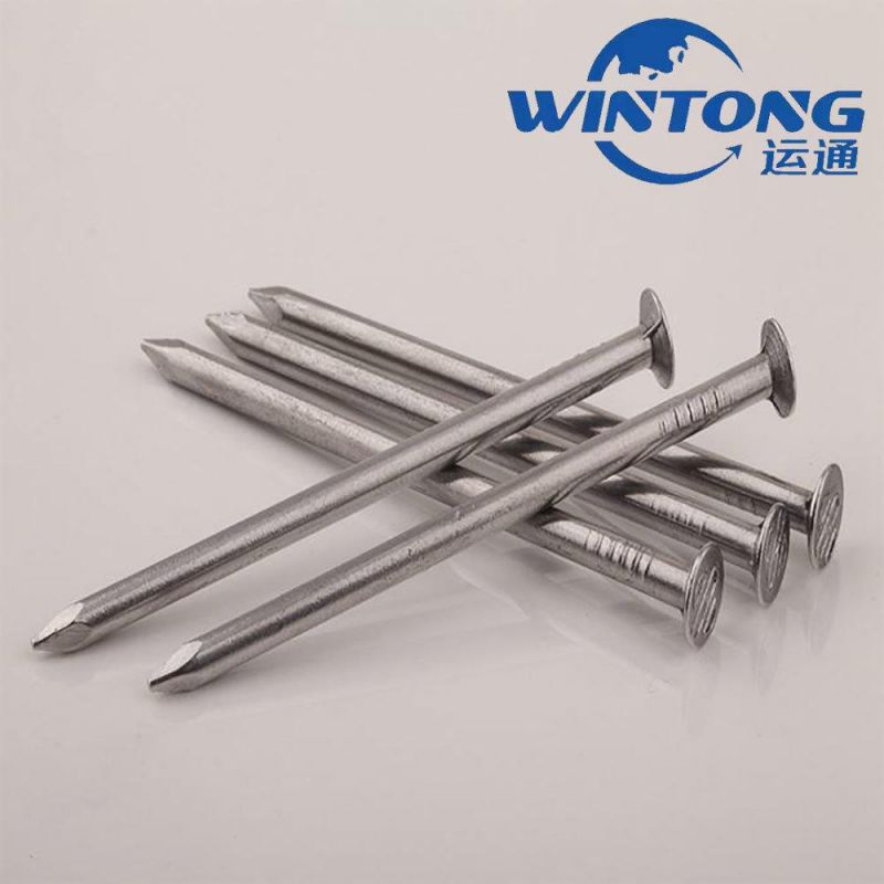 Galvanized Steel Concrete Nail, Concrete Nail Manufacturer